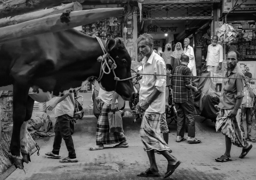 The Walk Before the Feast