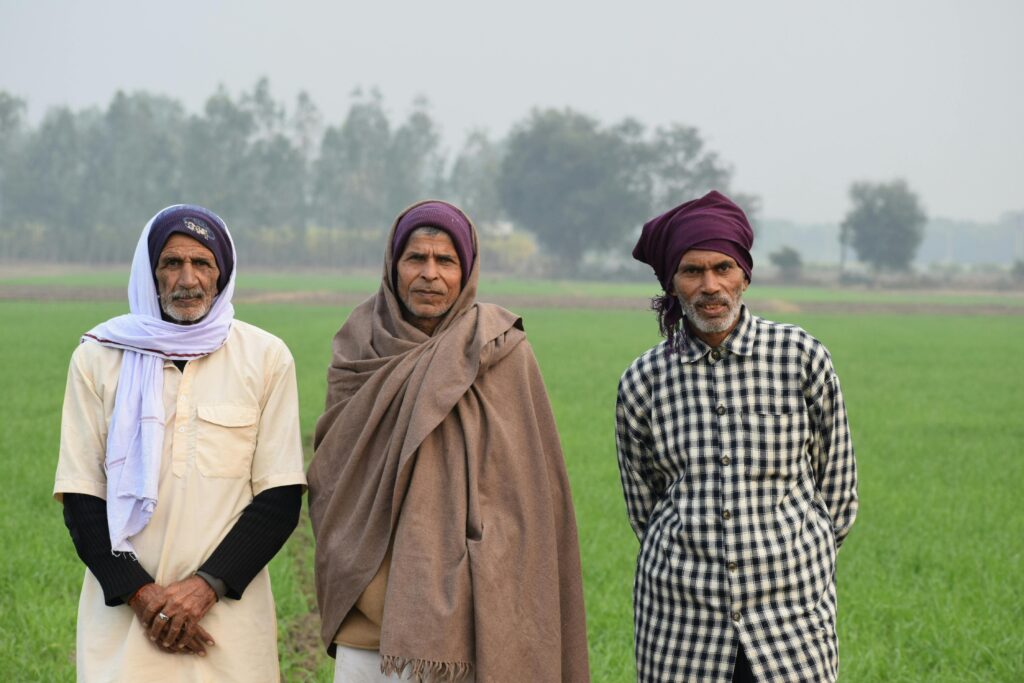 Portrait of three senior Indian farmers in traditional attire standing in a green field, Kanpur, India.